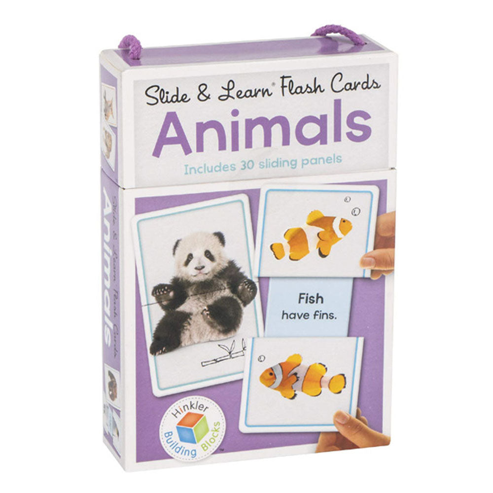 BBスライド&フラッシュカードの学習