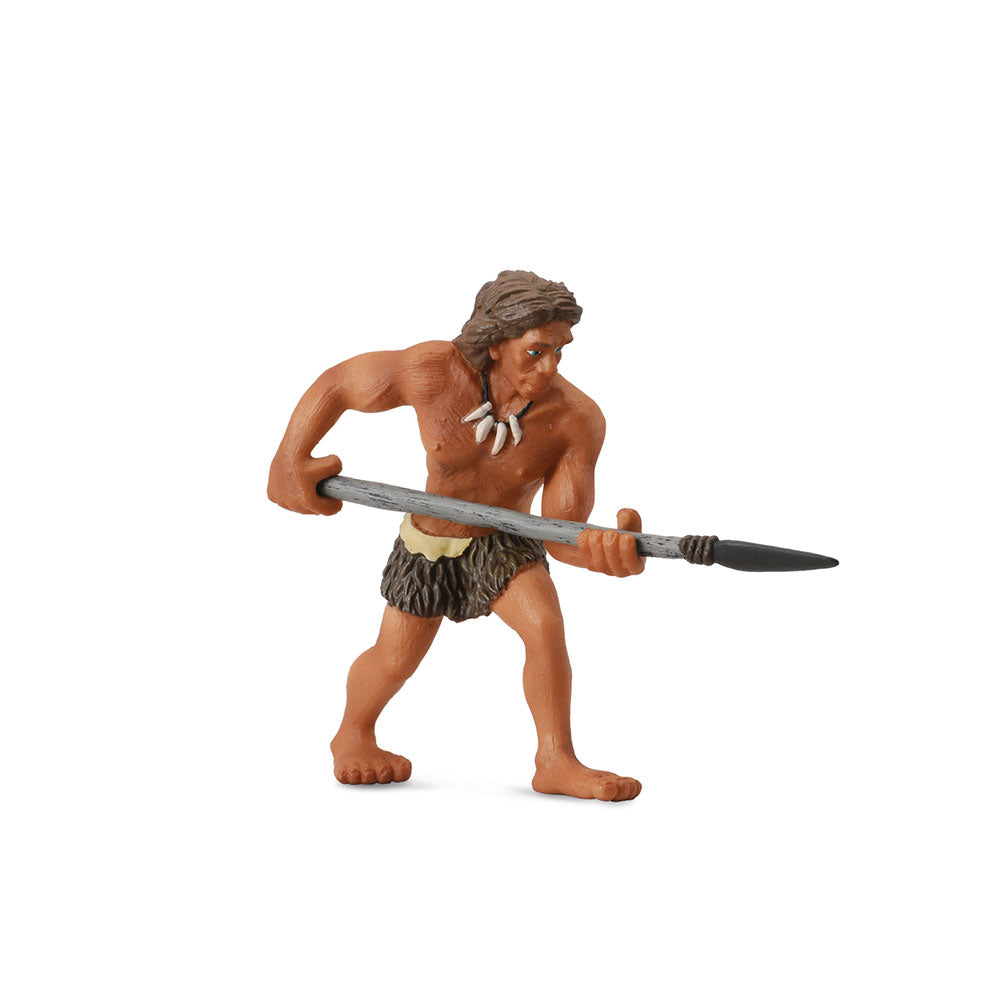collecta neanderthalの姿(大)