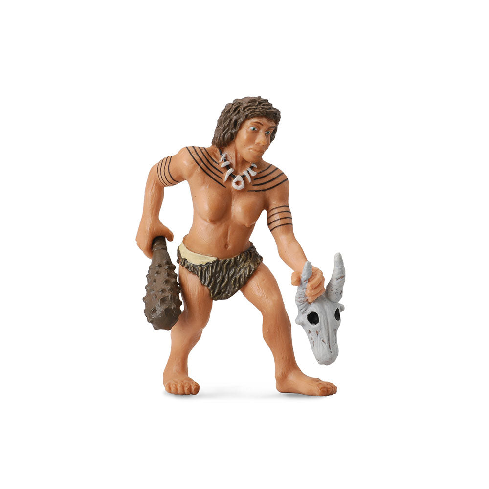 collecta neanderthalの姿(大)
