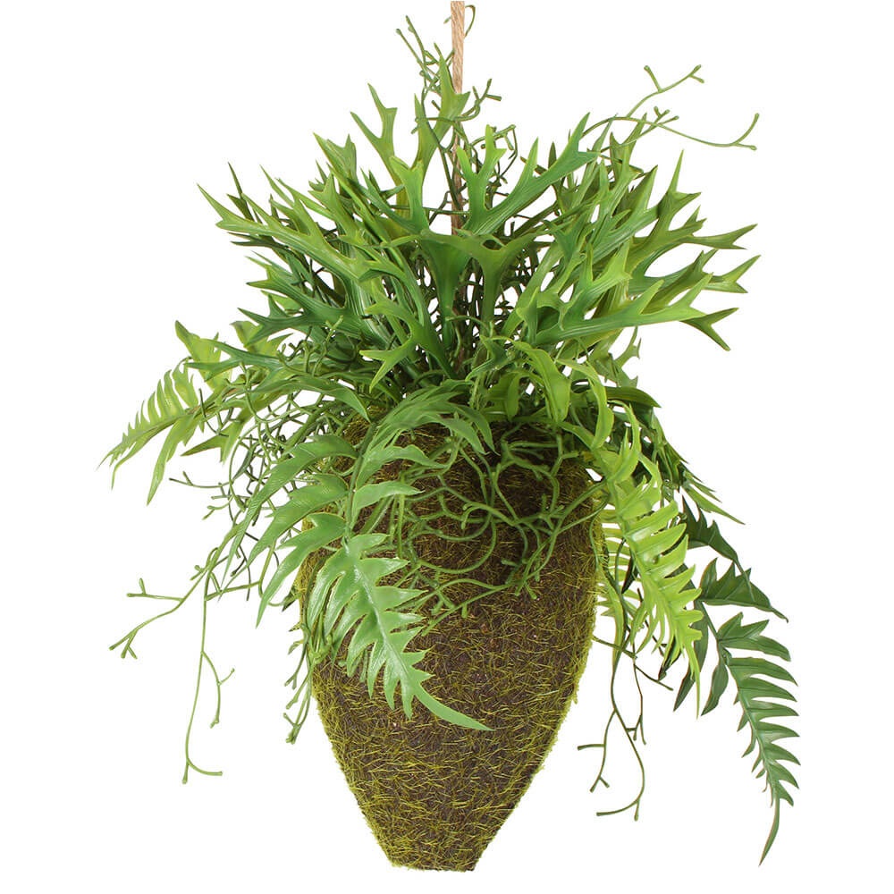 Moana kokedama gemengd hangen