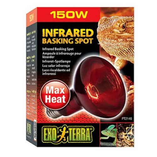 Exo Terra Infrared Heat Lamp