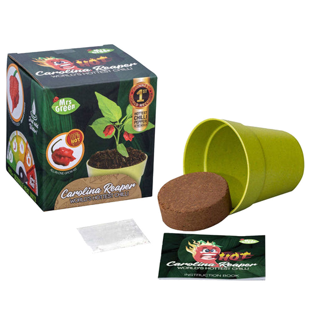 Fru Green Whimsy Garden Plant Kit