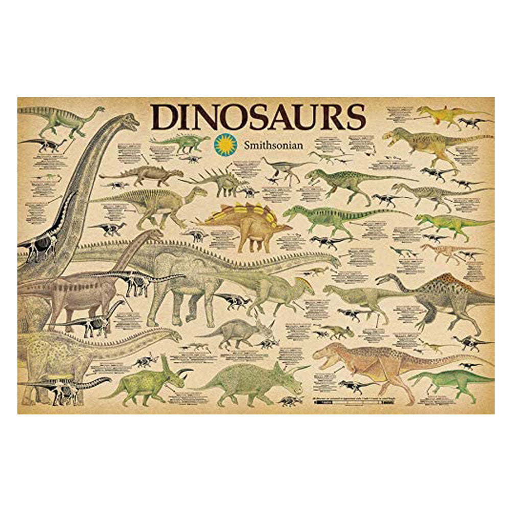 Affiche des dinosaures