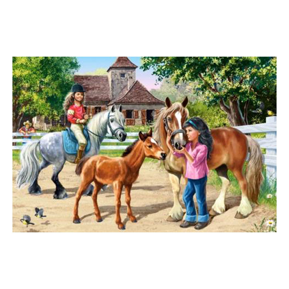 Castorland Classic Jigsaw Puzzle 70pcs