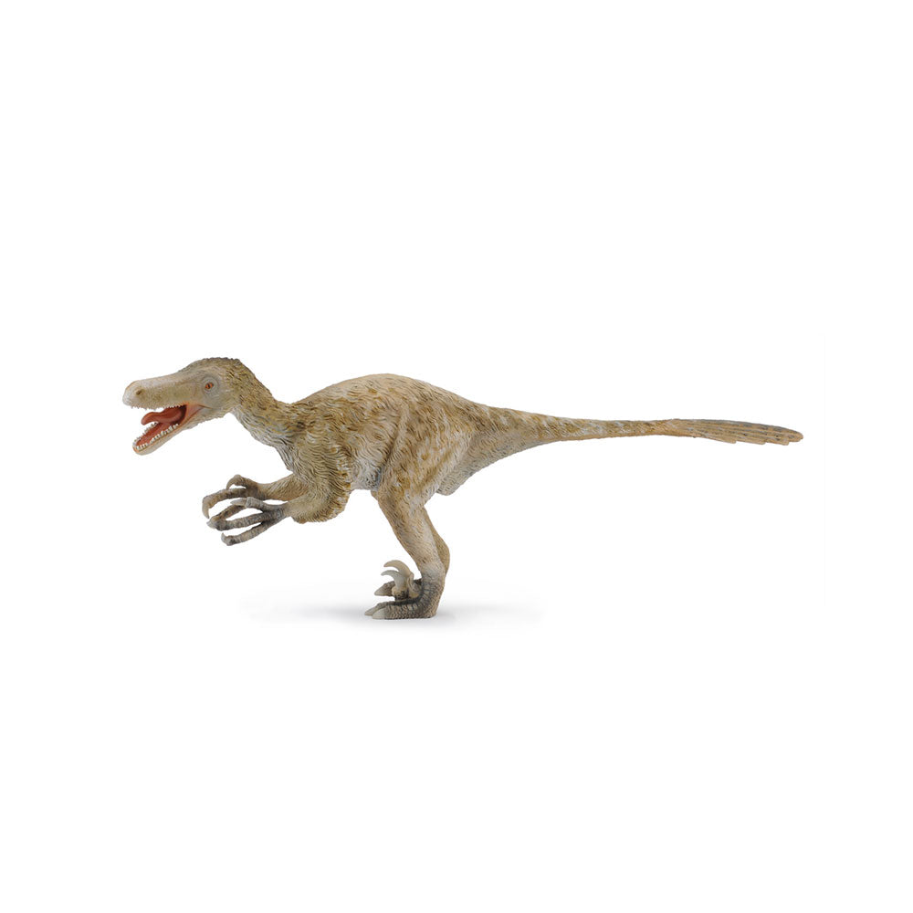 CollectA Velociraptor Dinosaur Figura