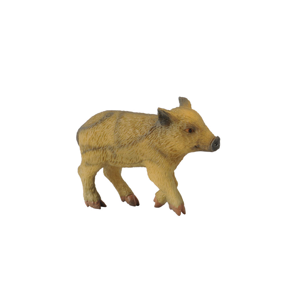 COLLECTA Wild Piglelet Figure (Small)