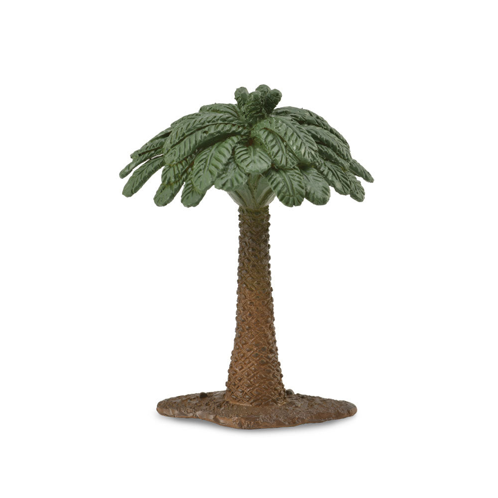 Figura da árvore da Cycad Collecta