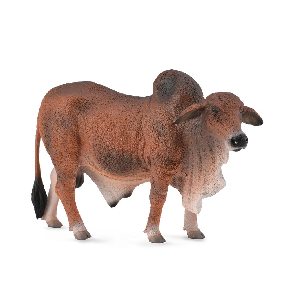 Collecta Brahman Bull Figur (stor)