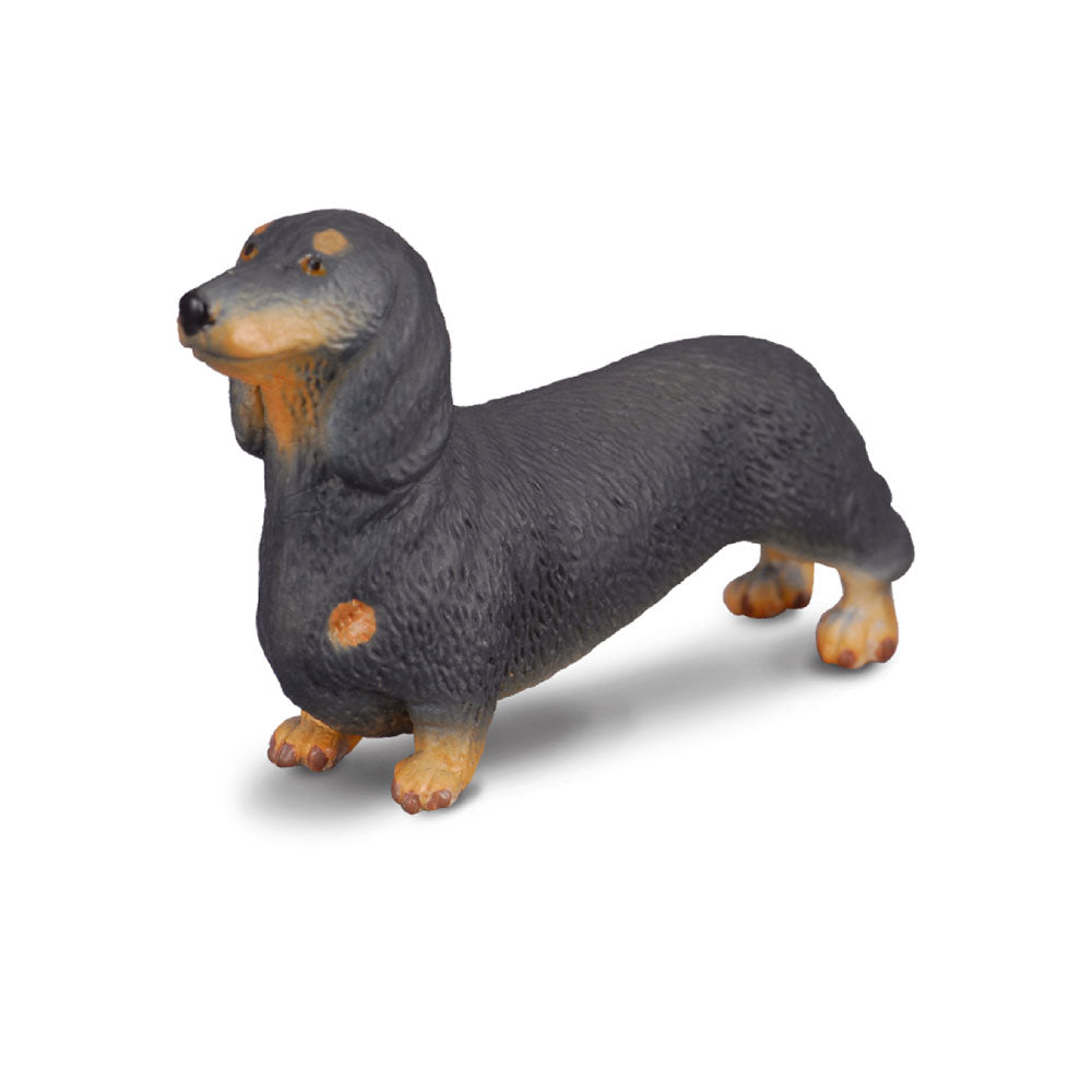 CollectA Dachshund Figure (Small)