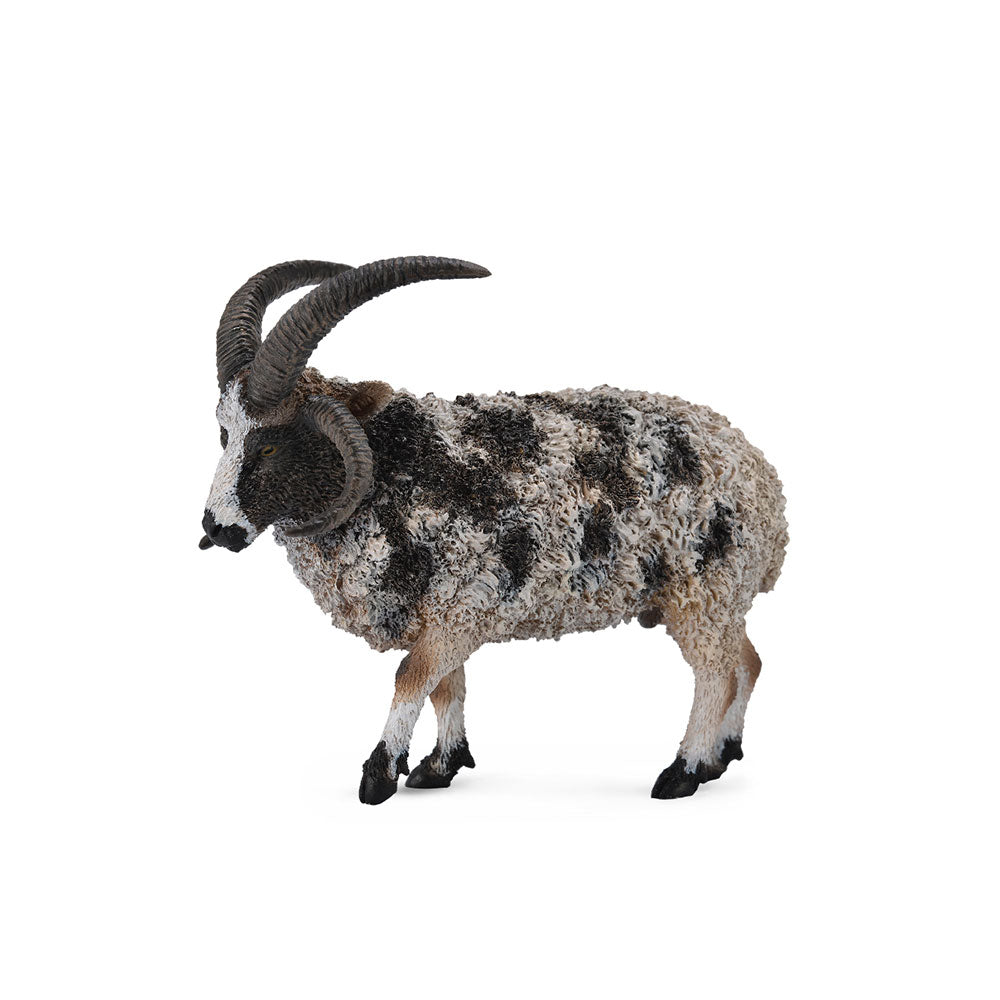 CollectA Jacob Sheep Figure (Large)