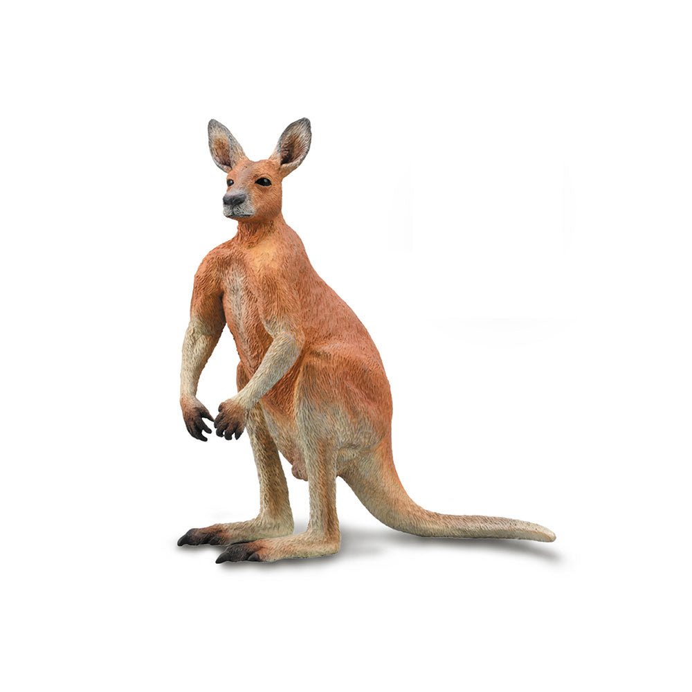 Collecta Red Kangaroo（大）