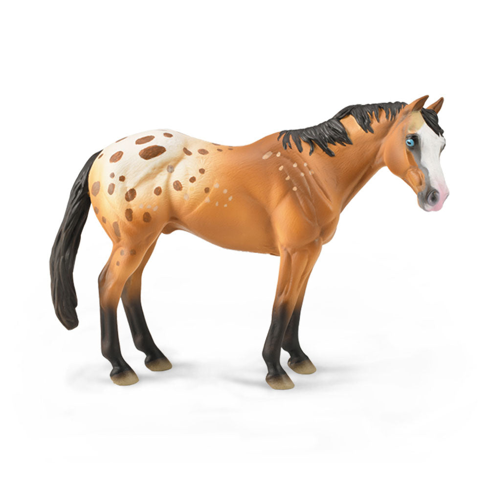 Collecta Appaloosa Stallion Figur (XL)