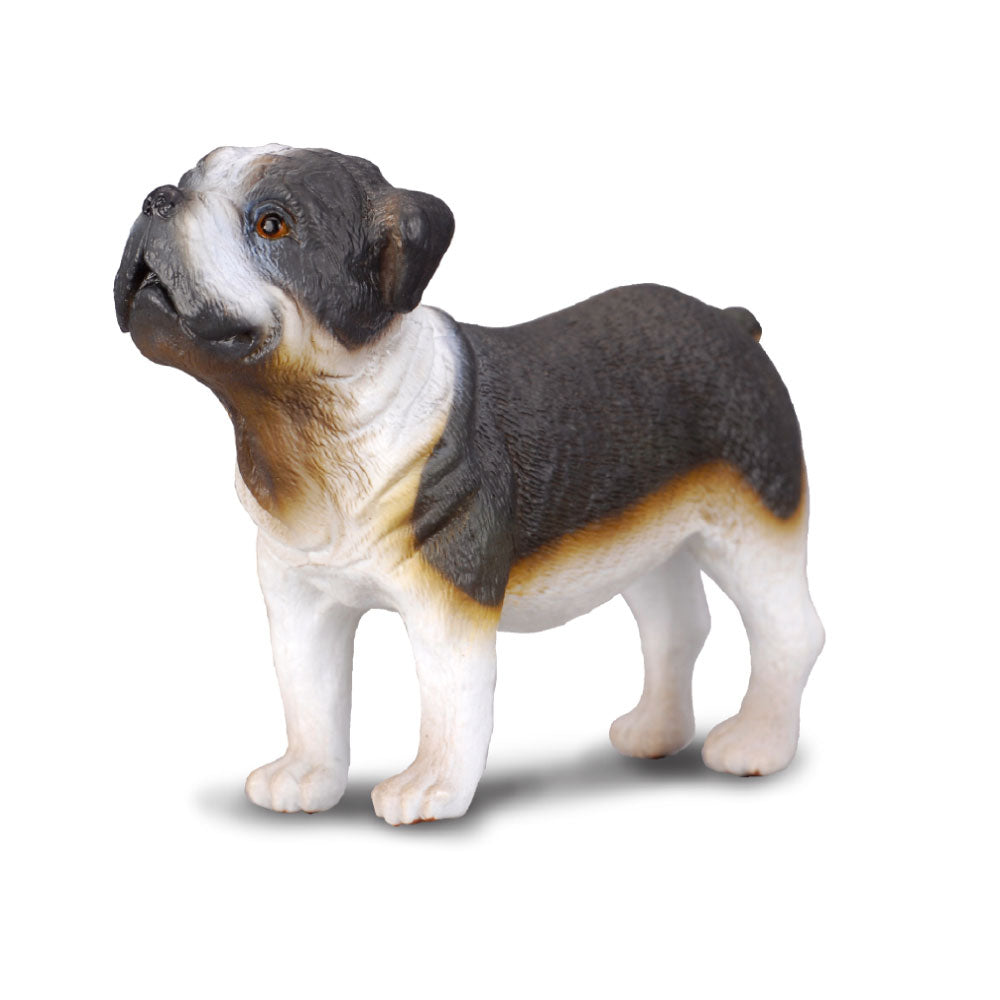 CollectA Bulldog Figure (Medium)