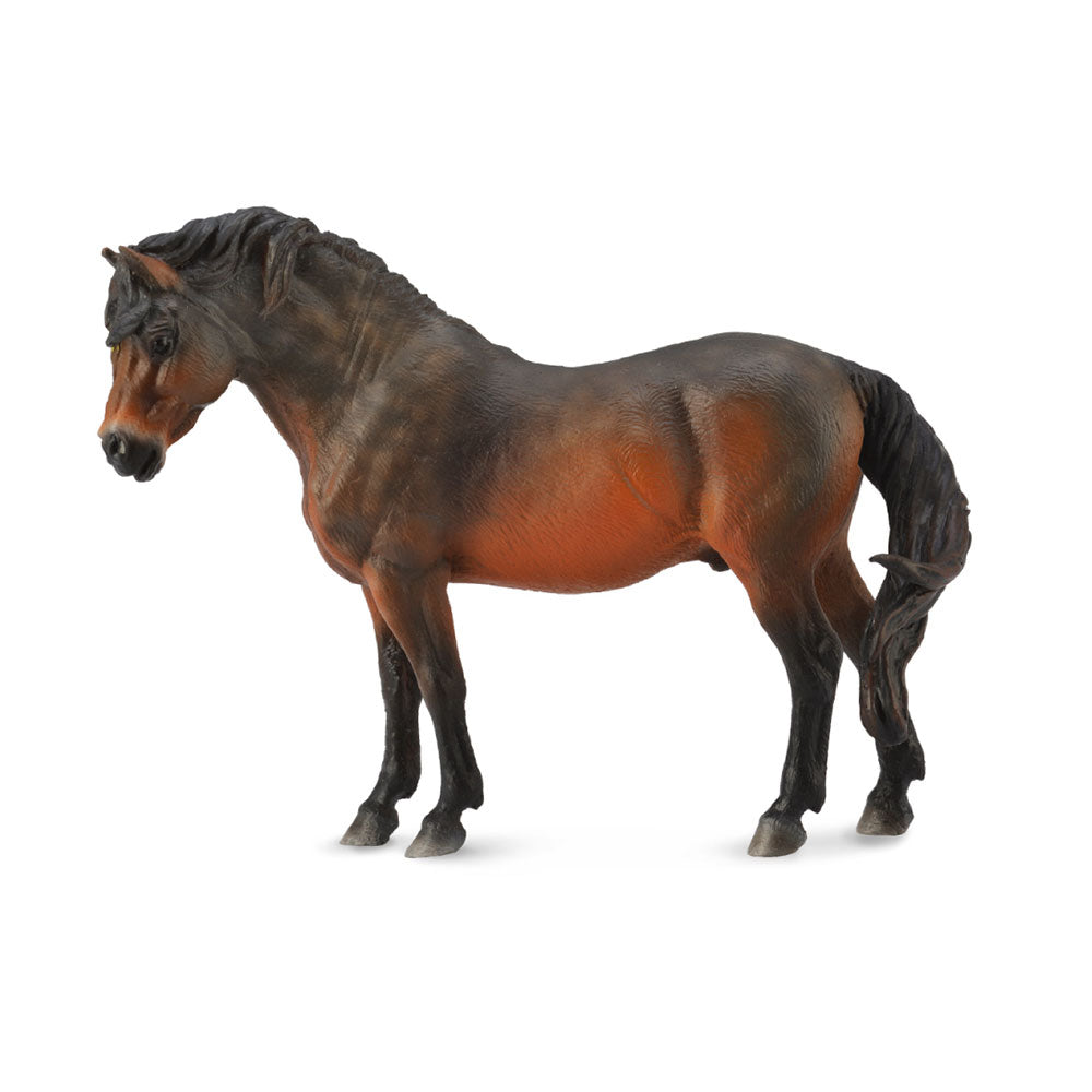 Collecta Dartmoor Horse Bayフィギュア（大）