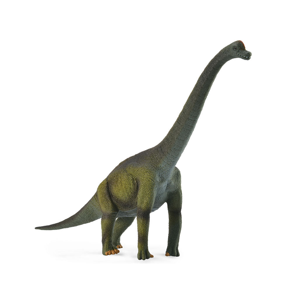 Collecta Brachiosaurus恐竜の姿