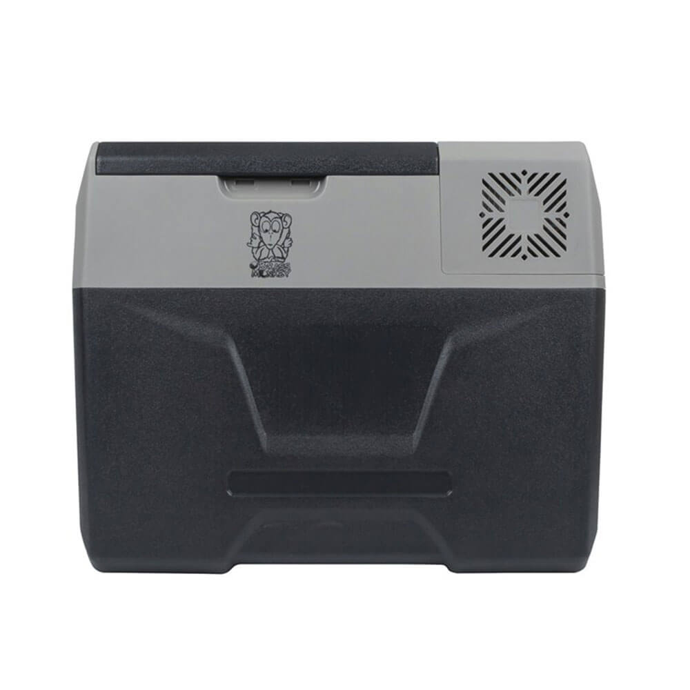 Frigorifero portatile DC/AC con manico e ruote