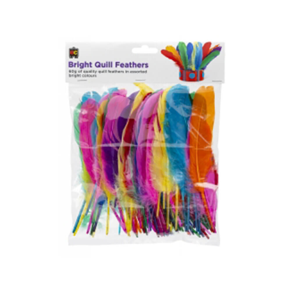 Ec Quill Feathers 60G