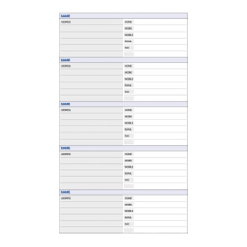 Debden A4 Telephone Address Dayplanner Refill