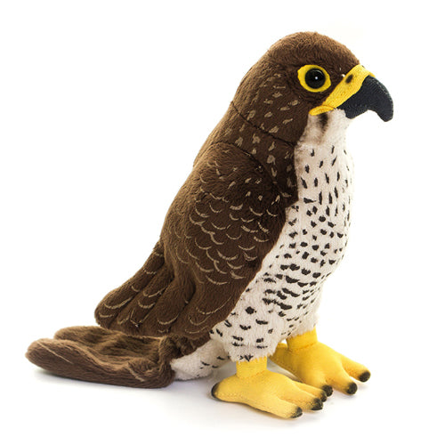 Living Nature Peregrine Falcon