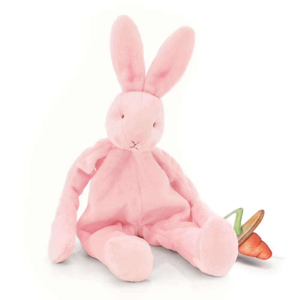 Konijntjes bij de baai dwaze buddy bunny