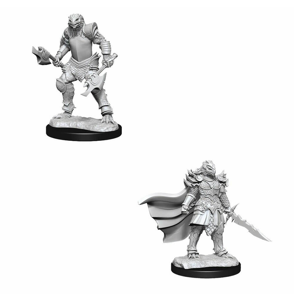 D & D Nolzurs Ongeverfde miniaturen