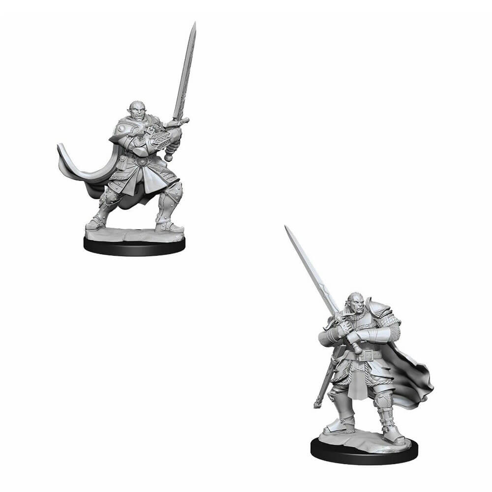 D & D Nolzurs Ongeverfde miniaturen