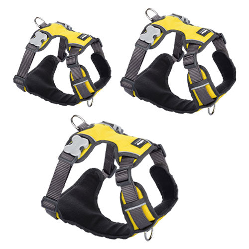 Padded Harness (Yellow)