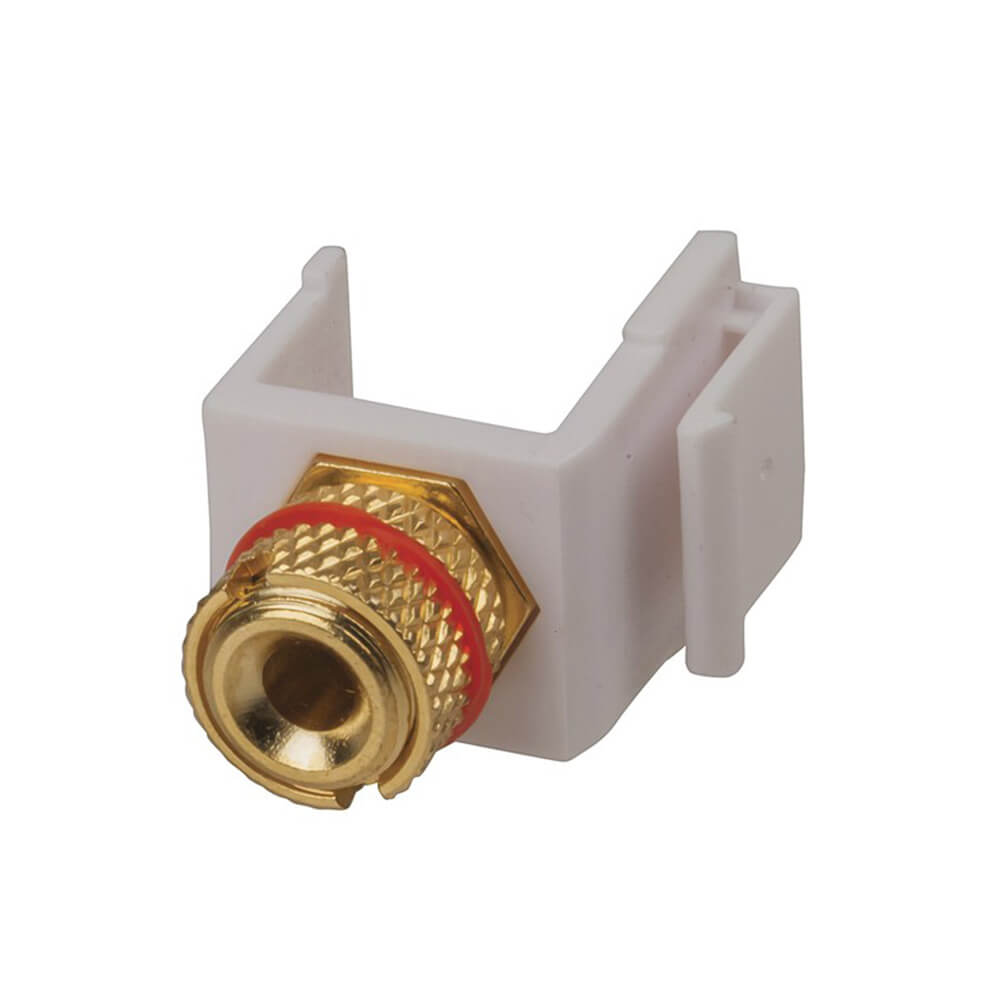 Keystone Insert Banana Socket (guld)