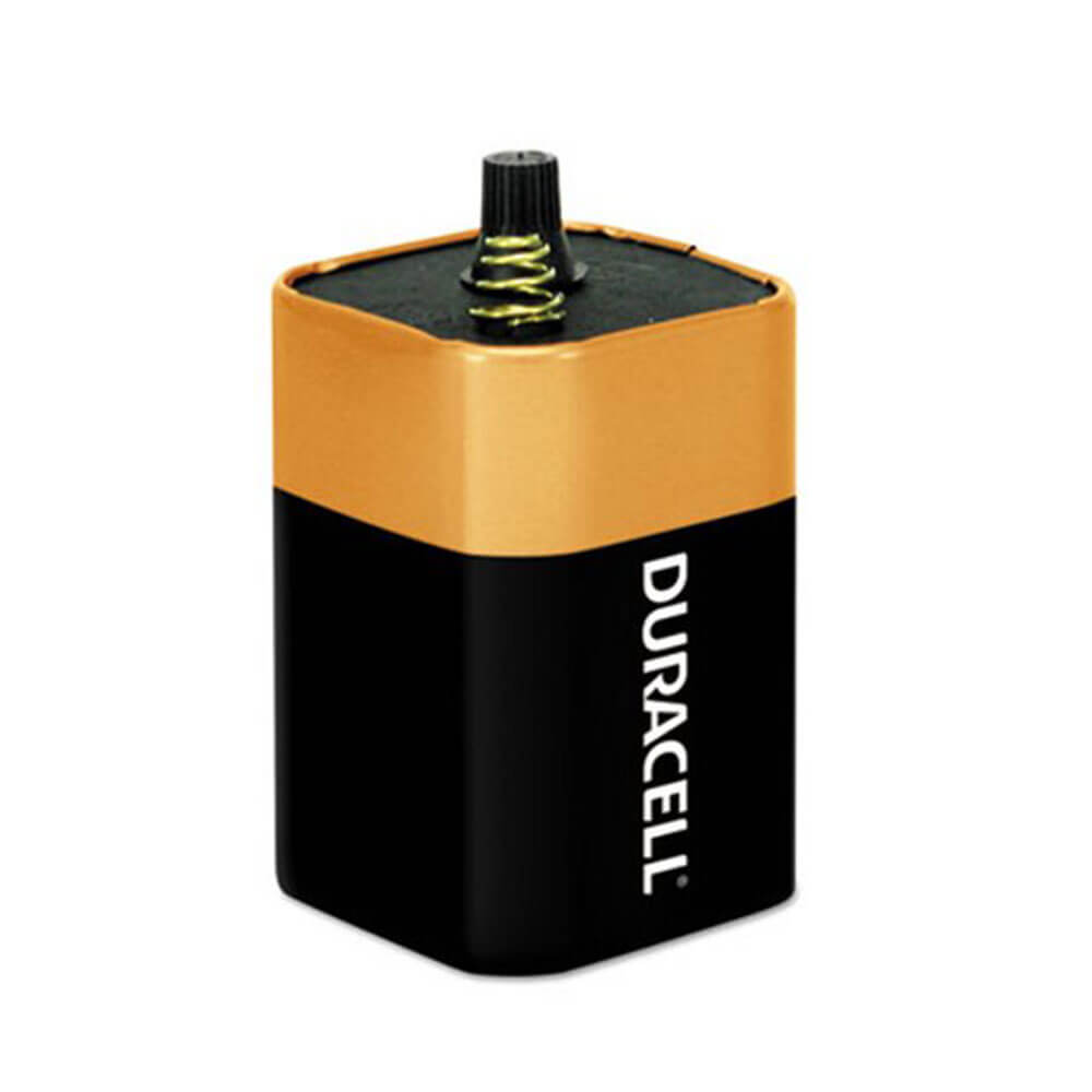 Batteria alcalina Duracell